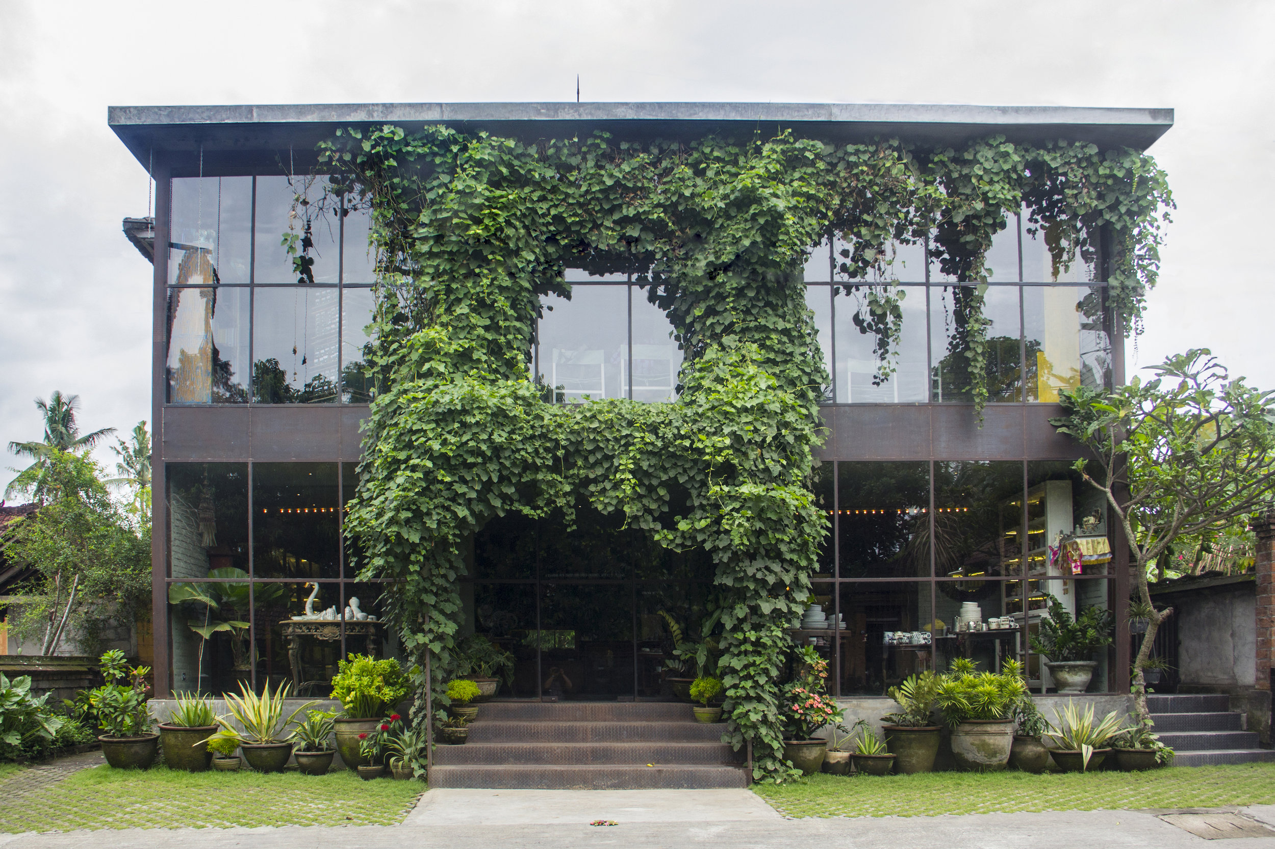 The ivy-covered glass facade of the Gaya Ceramic building in Ubud, Bali